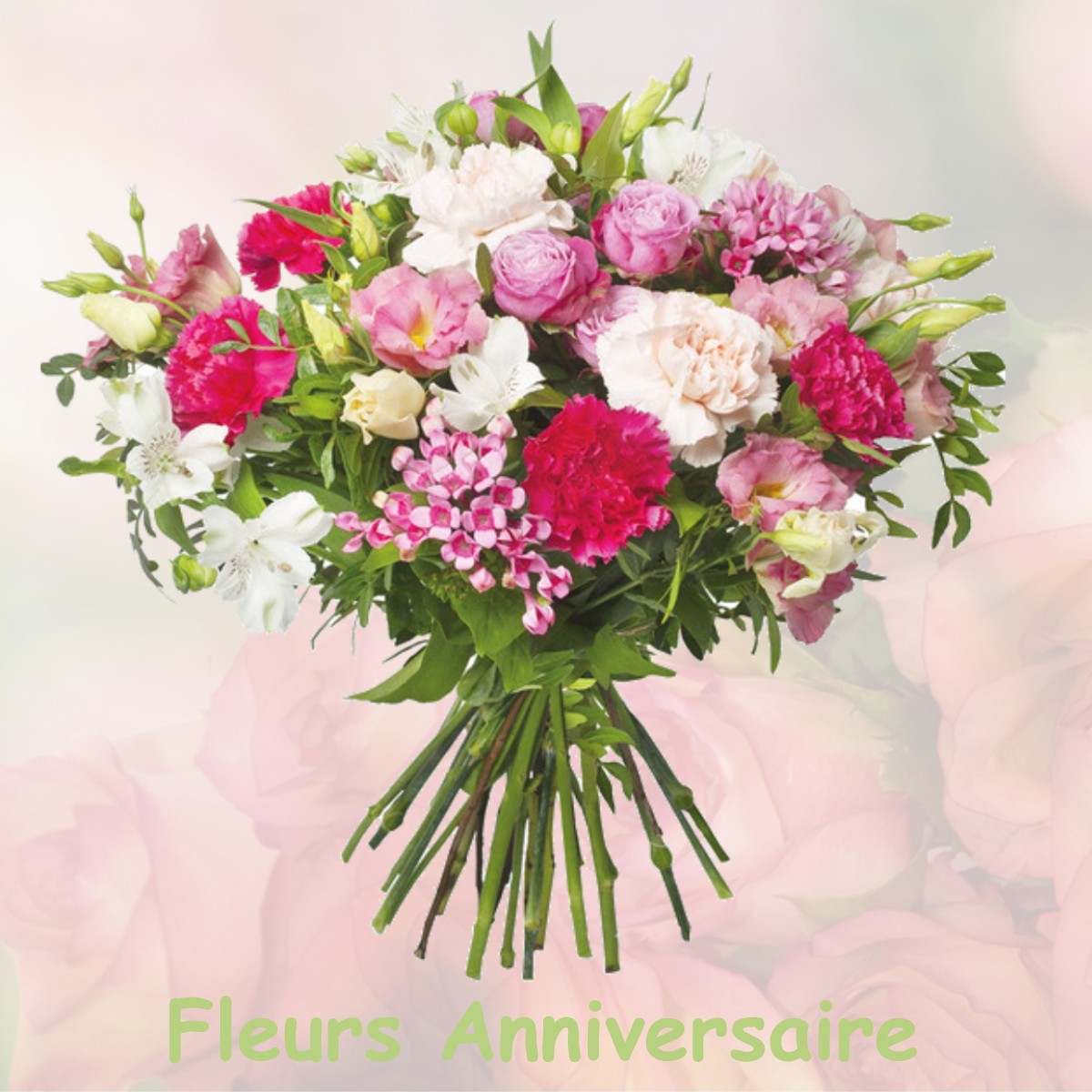 fleurs anniversaire MEJANNES-LE-CLAP